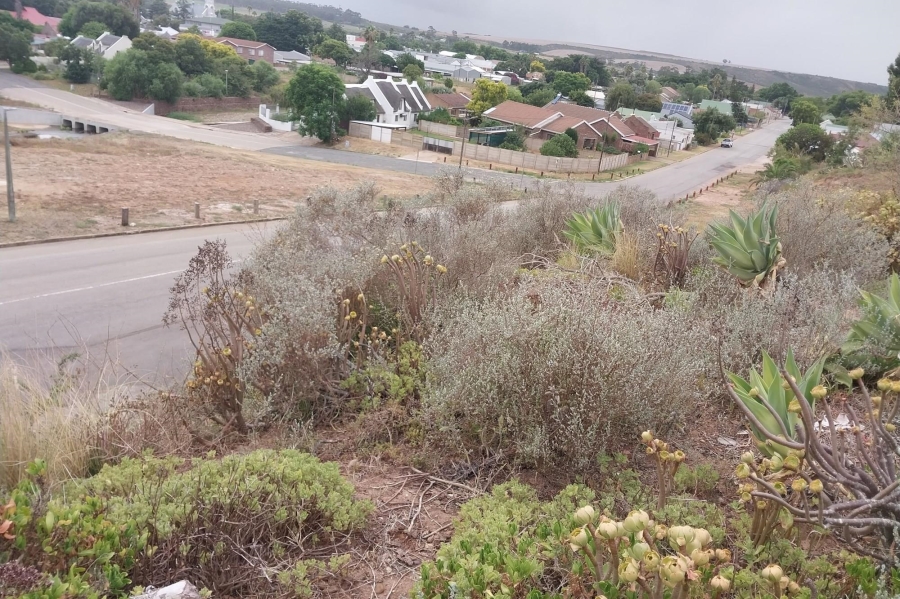 0 Bedroom Property for Sale in Heidelberg Western Cape